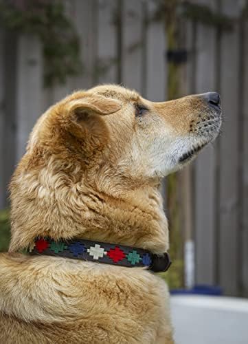 Kožni ovratnik za pse | Originalni podesivi ovratnik za pse ručno izrađeni ovratnik za pse sa mesinganim kopčom | Real Buffalo koža