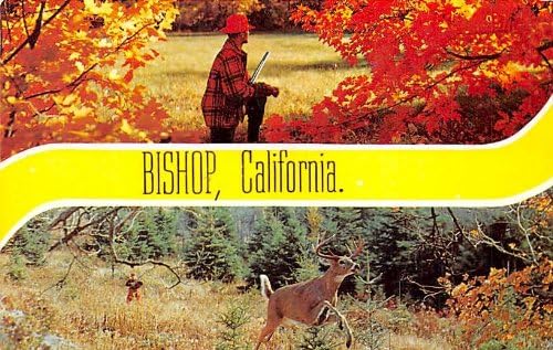 Bishop, California Razglednica