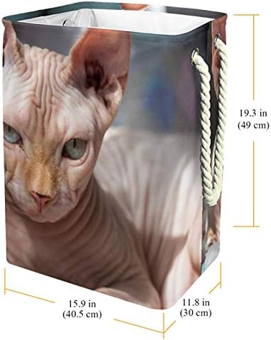 DEYYA vodootporne korpe za veš visoke čvrste sklopive Sphynx mačka bez dlake Print Hamper za odraslu djecu
