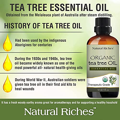 Prirodno bogatstvo čajno drvo za pranje tijela 16 0z i USDA organsko eterično ulje čajevca 1 fl. Oz-ulje