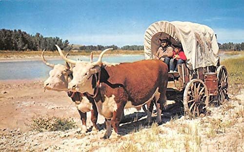Ox Team & natkriveni karavan Dakota teritorija, Južna Dakota SD razglednice