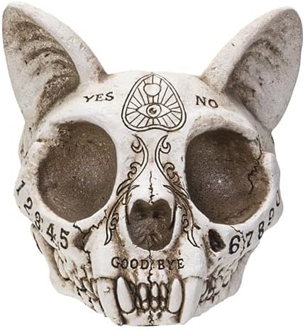 Pacific Poklonivačko-taksidermija Full Cat Skull Ashtray sa isklesanim Ouijom Detaljni 3,5 visok